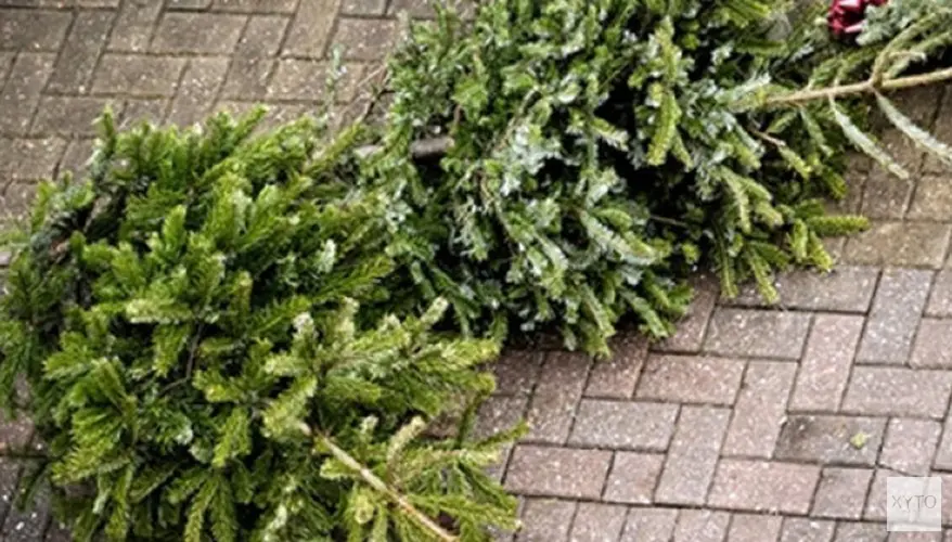 Kerstbomeninzameling woensdag 9 januari 2019