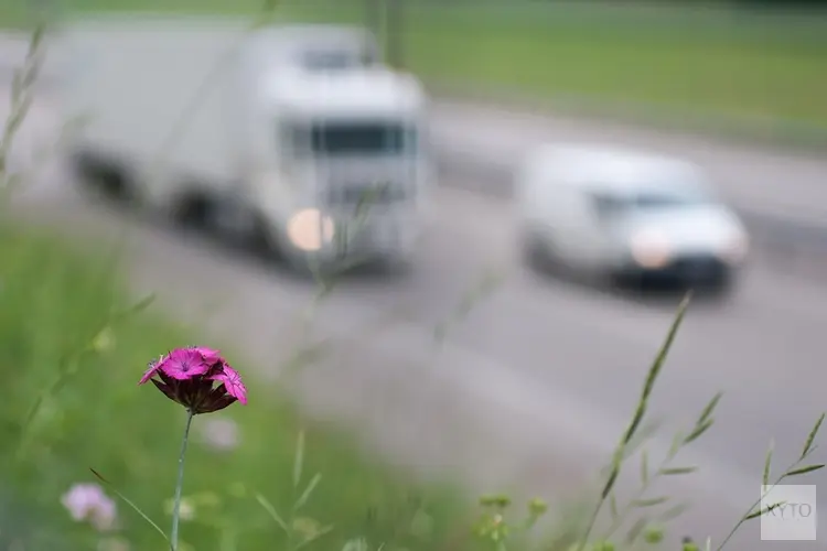 Vaststelling geluidsaneringsplan N44 door Rijkswaterstaat