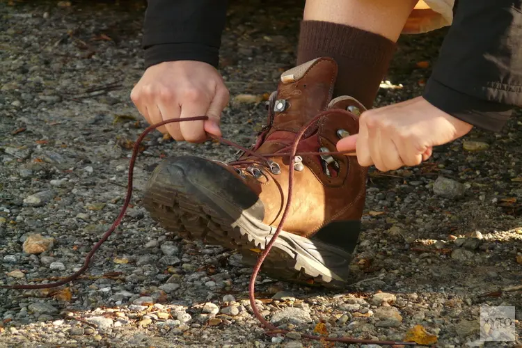 Kom in beweging: ontdek de veelzijdige wandelroutes in en rondom Wassenaar