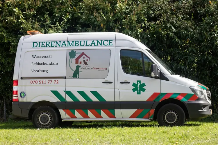 Stichting Nationale Dierenzorg Wassenaar is op zoek naar nieuwe, vrijwillige Dierenambulance chauffeurs