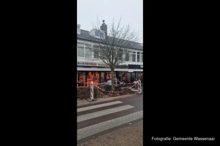 Verplanten van bomen uit het centrum